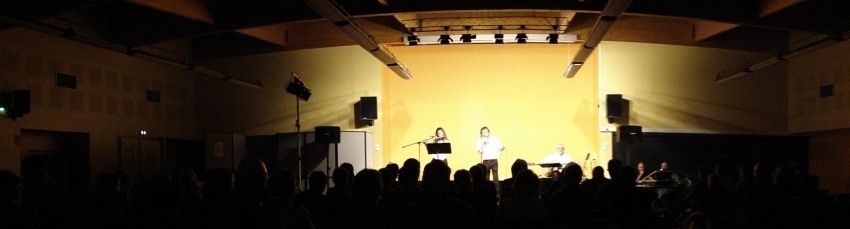 Concert V.Faucheux, Novembre 2011